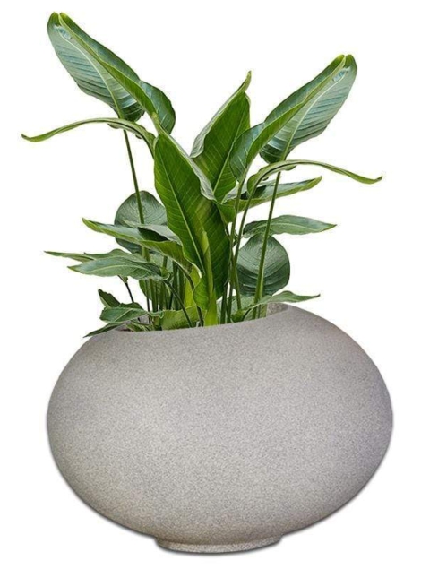 arizona-concrete-pot-the-pot-shack-garden-concrete-pot-gauteng-29937581326486.jpg