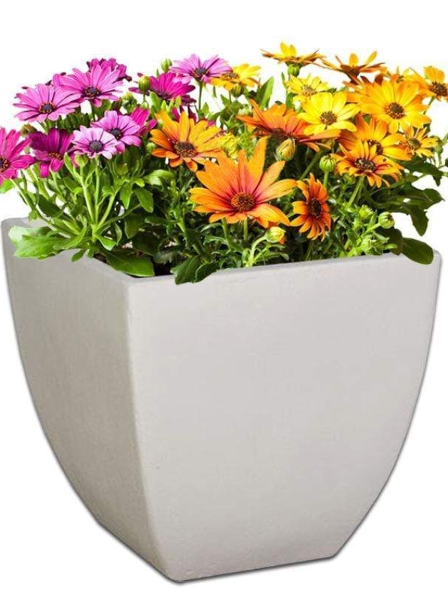 bolivia-concrete-pot-the-pot-shack-garden-concrete-pot-gauteng-29935885746326.jpg