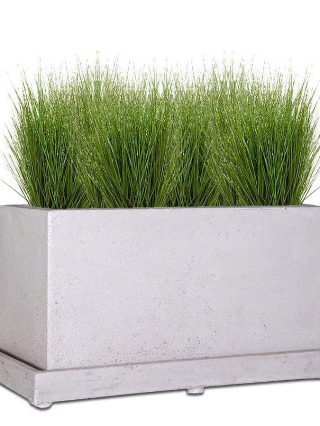 chunky-trough-tray-the-pot-shack-garden-concrete-tray-gauteng-29982244700310.jpg
