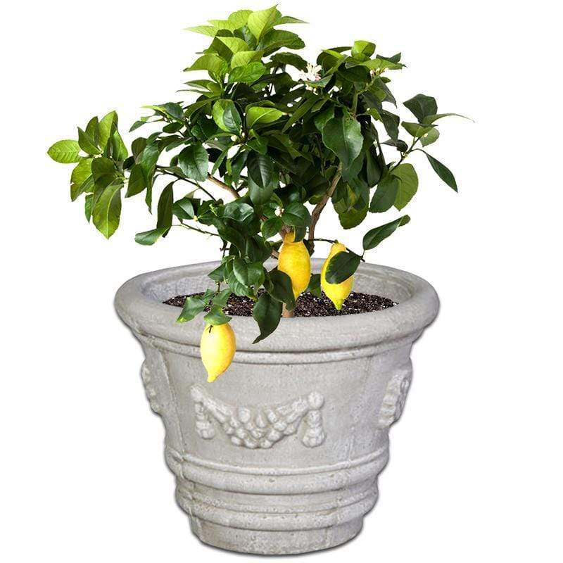 Constantia Plant Pot
