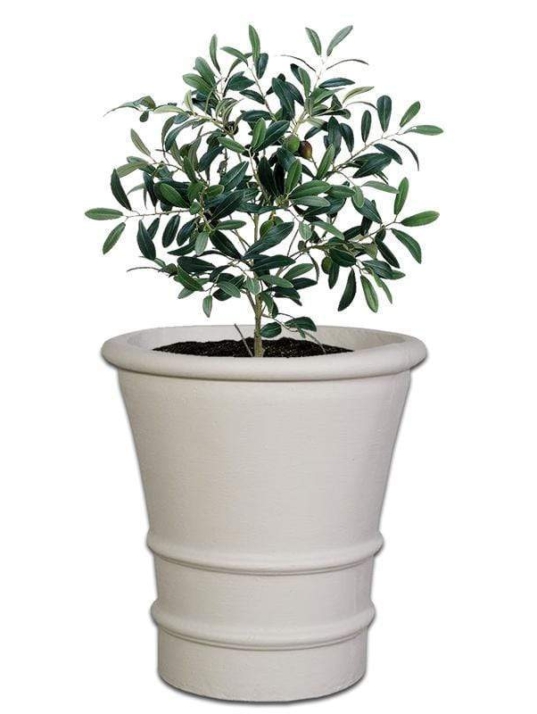 fortuna-pot-concrete-the-pot-shack-garden-concrete-pot-gauteng-29936864592022.jpg