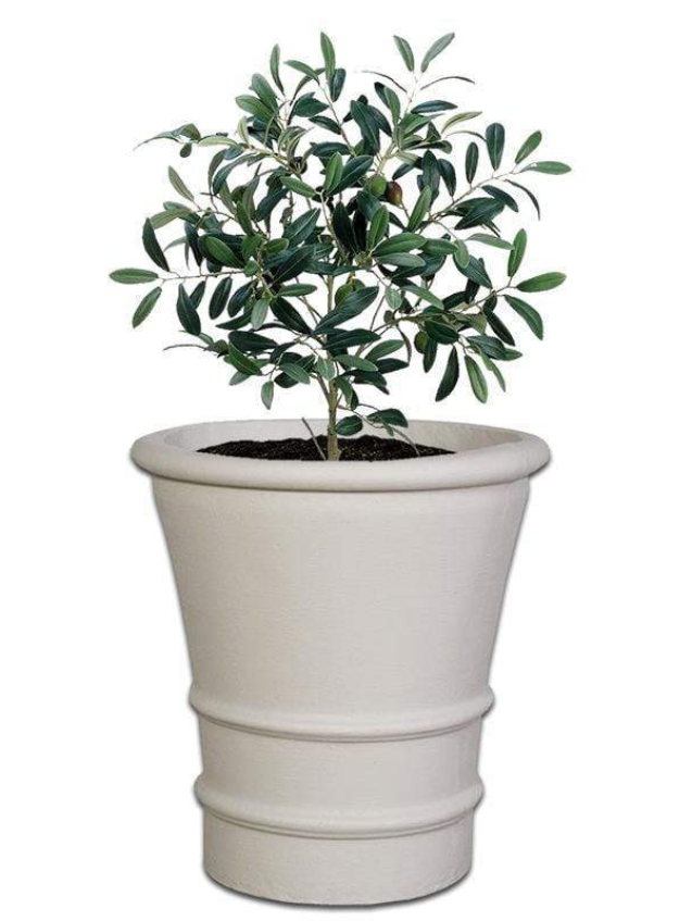 fortuna-pot-concrete-the-pot-shack-garden-concrete-pot-gauteng-29936864592022.jpg