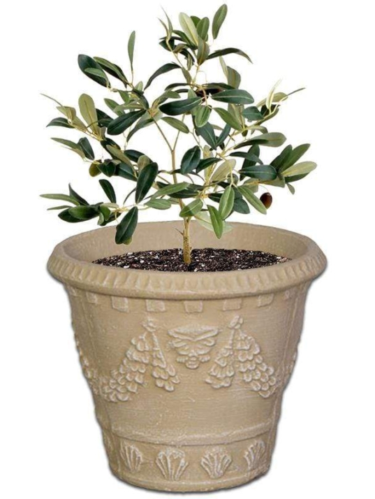 italia-concrete-pot-the-pot-shack-garden-concrete-pot-gauteng-29920319209622.jpg