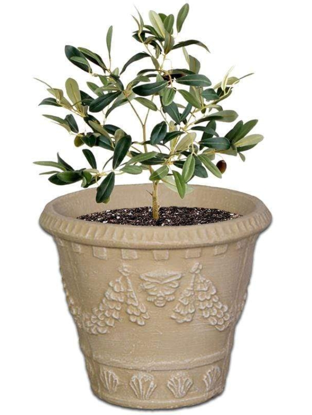 italia-concrete-pot-the-pot-shack-garden-concrete-pot-gauteng-29920319209622.jpg