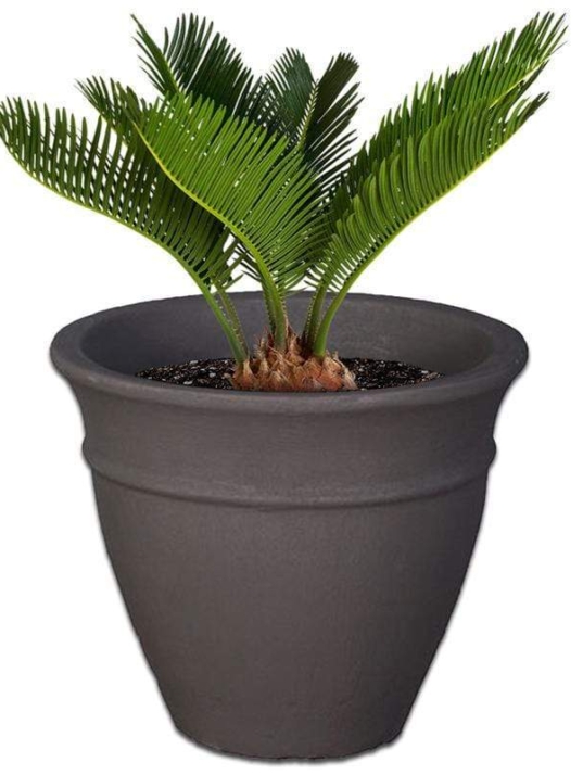 jessica-concrete-pot-the-pot-shack-garden-concrete-pot-gauteng-29918037442710.jpg
