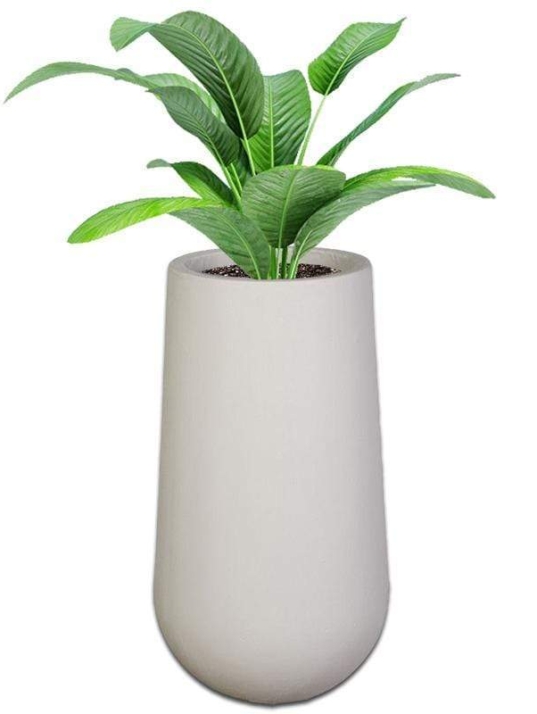 nebraska-concrete-pot-the-pot-shack-garden-concrete-pot-gauteng-29581637550230.jpg