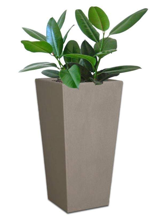 nevada-concrete-pot-the-pot-shack-garden-concrete-pot-gauteng-29964659163286.jpg