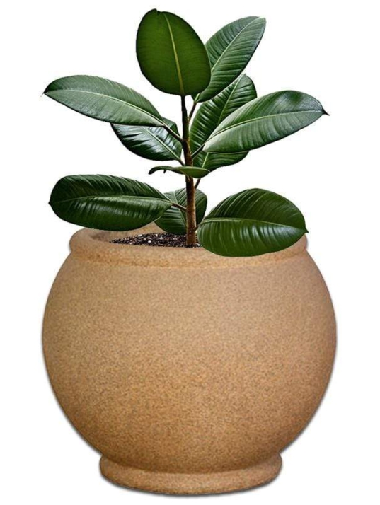 oval-concrete-pot-the-pot-shack-garden-concrete-pot-gauteng-29938070061206.jpg