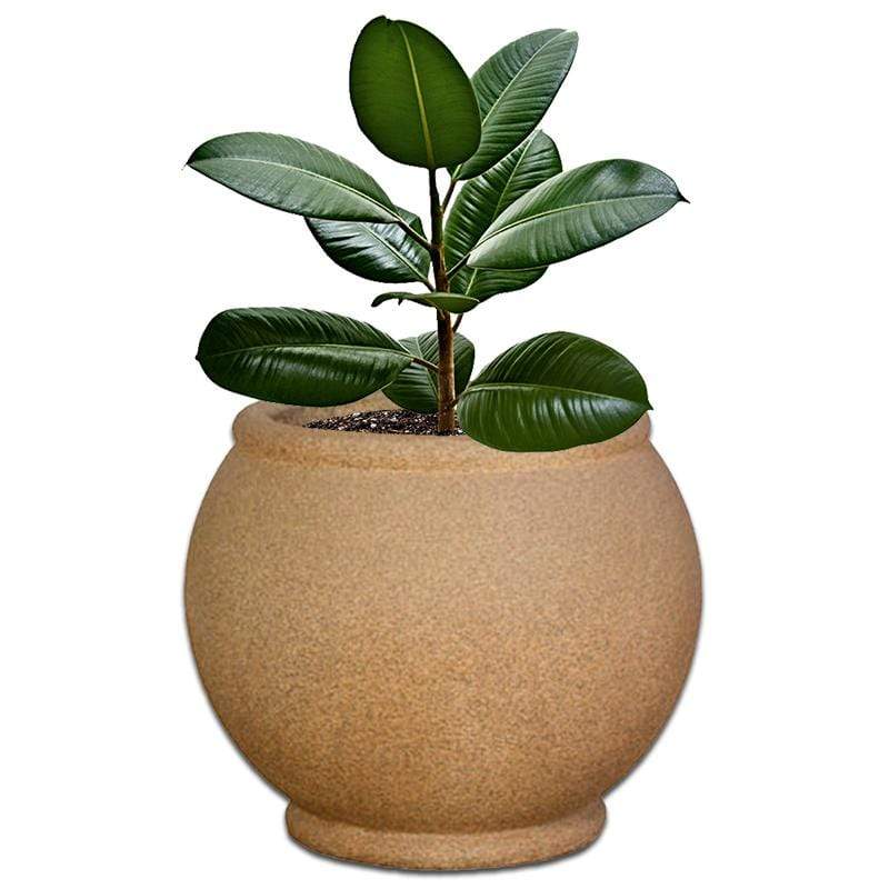 Oval Plant Pot