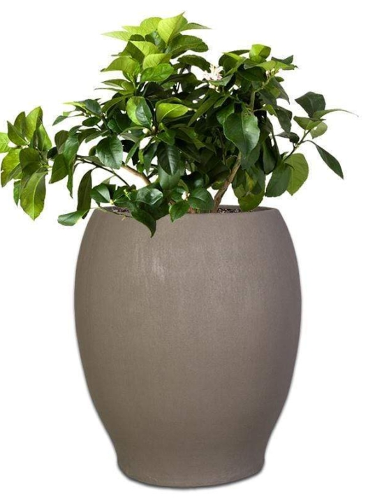 pafuri-concrete-pot-the-pot-shack-garden-concrete-pot-gauteng-29935415656598.jpg