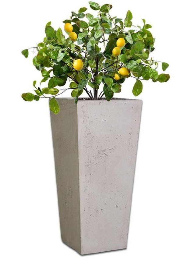 pinto-concrete-pot-the-pot-shack-garden-concrete-pot-gauteng-29915872854166.jpg