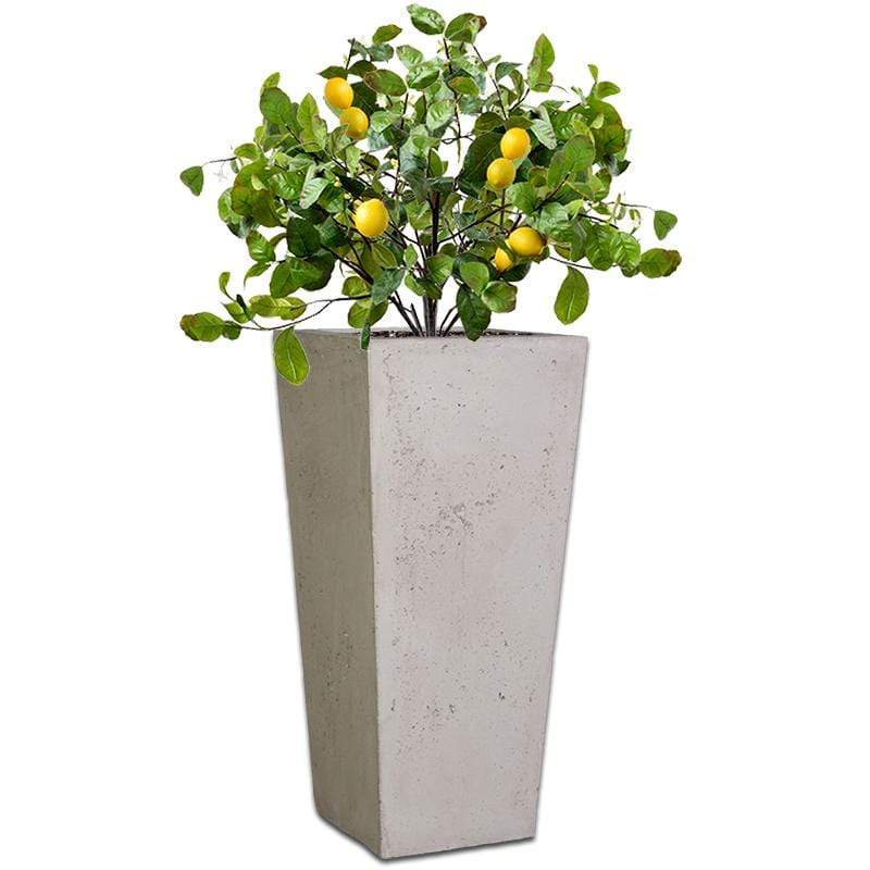 Pinto Plant Pot