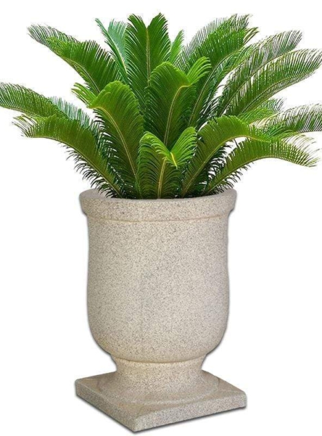 plantation-concrete-pot-the-pot-shack-garden-concrete-pot-gauteng-29580267290774.jpg