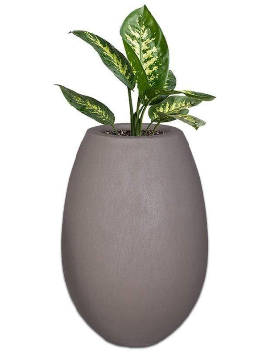 pongola-concrete-pot-the-pot-shack-garden-concrete-pot-gauteng-29921485684886.jpg