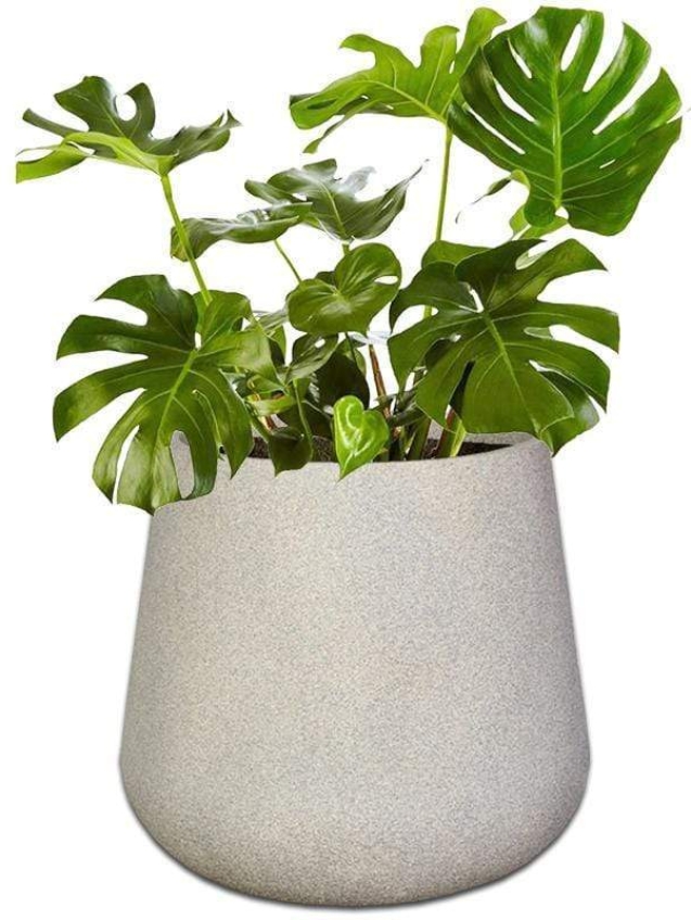 premium-colorado-plant-pot-the-pot-shack-concrete-pot-south-africa-40069704089829.jpg