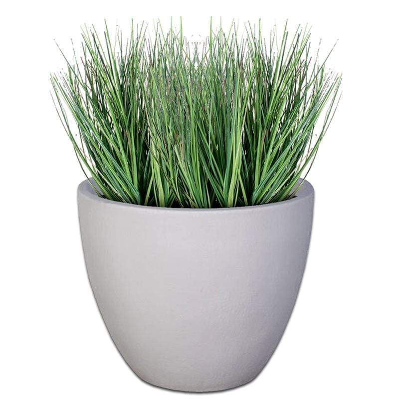 Premium Egg Plant Pot - Image 9