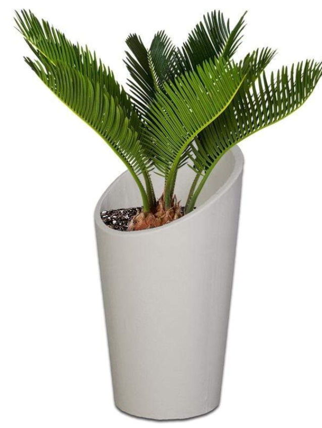 premium-protea-plant-pot-the-pot-shack-concrete-pot-south-africa-40069795381477.jpg