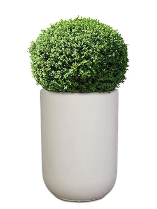 premium-tennessee-concrete-pot-the-pot-shack-concrete-pot-south-africa-40071698186469.jpg
