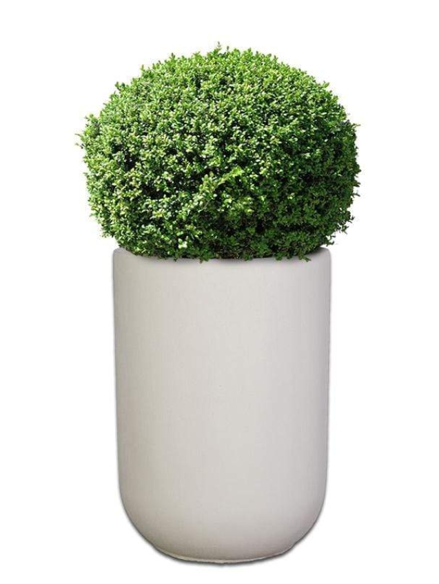 premium-tennessee-concrete-pot-the-pot-shack-concrete-pot-south-africa-40071698186469.jpg