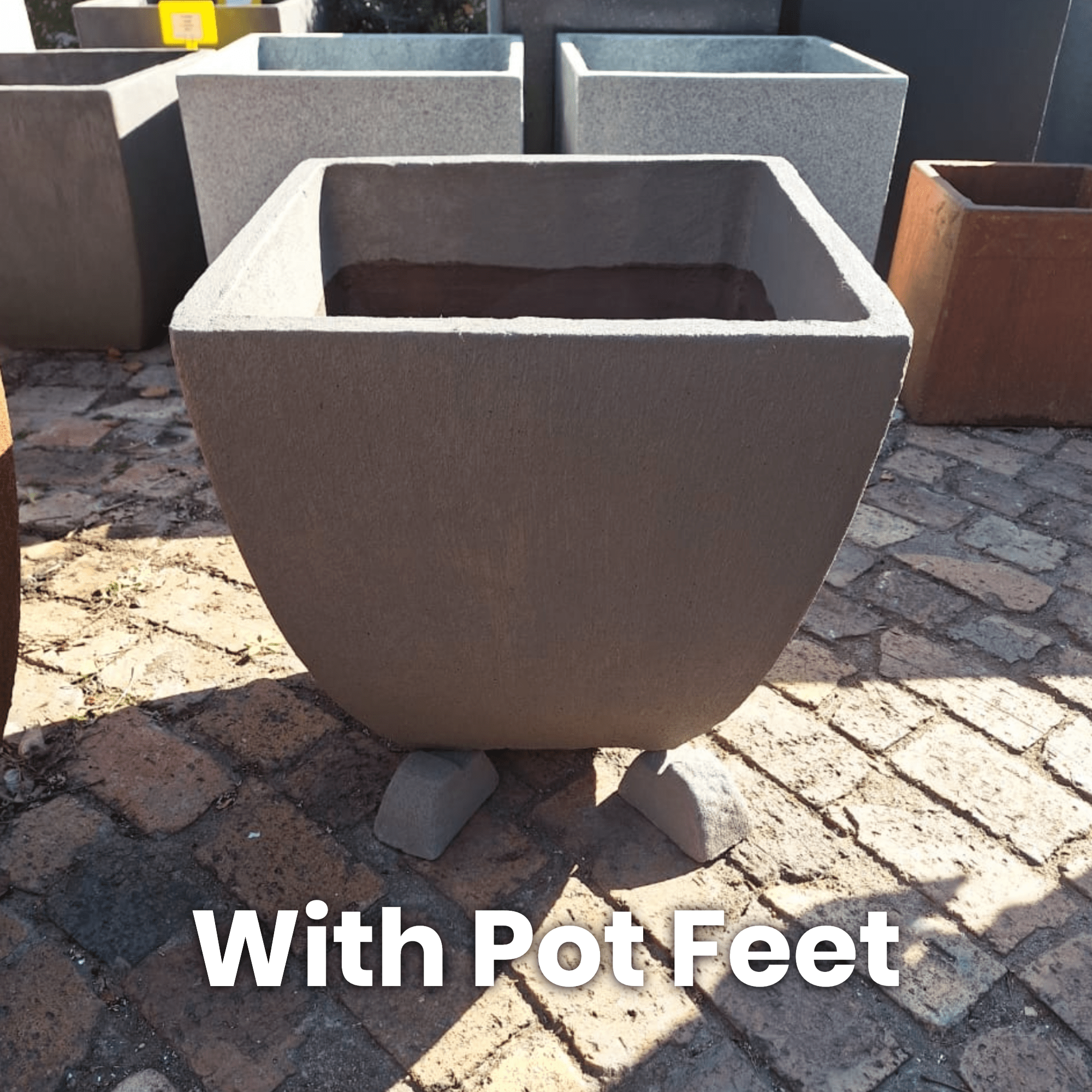 Premium Tulip Plant Pot - Image 9