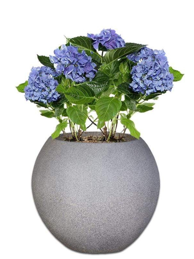 rum-concrete-pot-the-pot-shack-garden-concrete-pot-gauteng-29935341535382.jpg