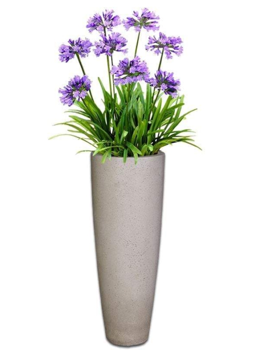 tequila-concrete-pot-the-pot-shack-garden-concrete-pot-gauteng-29940235698326.jpg